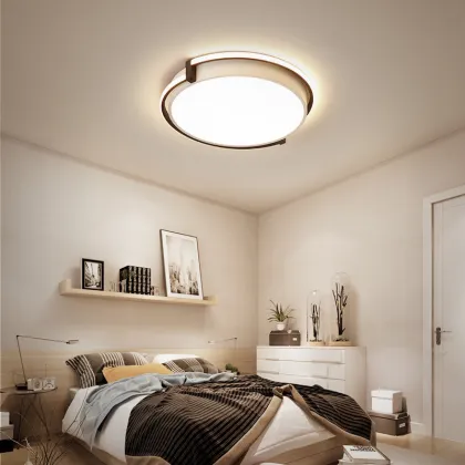 LEDER Led Metal Ceiling Lights
