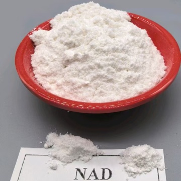 NAAm Root-ส่งเสริมพลัง Rootone