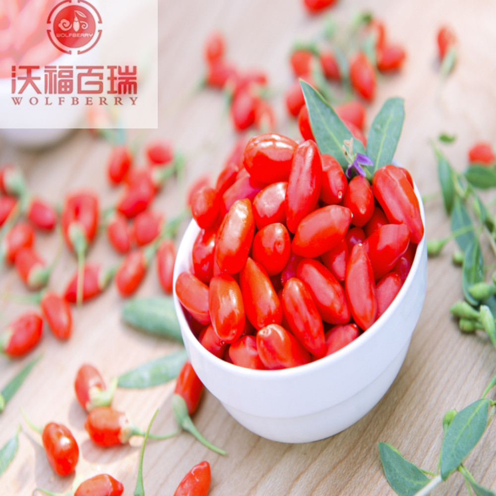 Bestnote chinesische Kraut Superfood Ernährung Goji Beeren