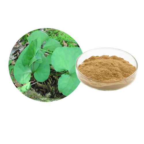 High quality Asari/Wild Ginger Extract 4:1 10:1