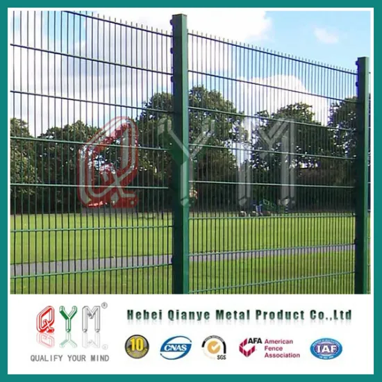 Double Wire Fence/ Double Galvanized Steel Wire Mesh Fence