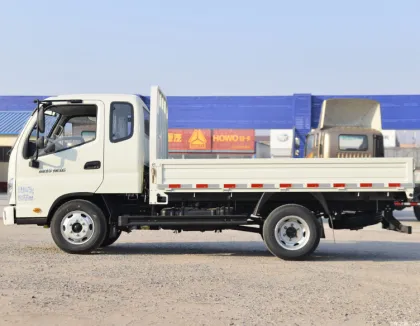 FOTON LIGHT TRUCK LONGER CARGO BODY small  truck foton OLING mrt foton petrol mini truck