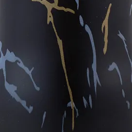 black lidan plastic glass bottle for kitchen spice jar seasoning bottle