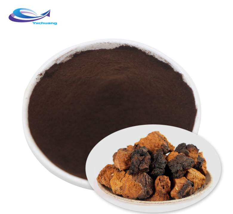 Chaga Mushroom Powder