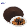 Poudre de champignon chaga pure en vrac naturel