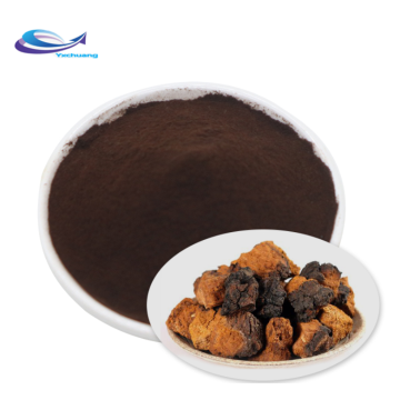 Natural Bulk Pure Chaga Mushroom Powder