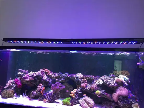 AQL Light 250w 4ft sunrise and sunset wifi wired controller led aquarium light for marine use