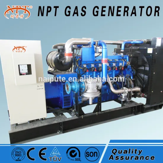 CHP biogas generator with soundproof canopy(80kW,styer,chp system)