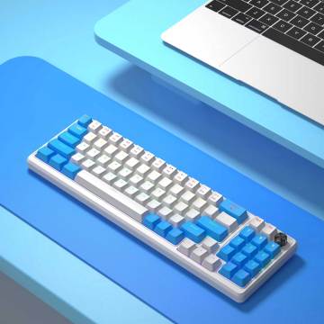 RGB LED Backlit Swappable Mechanical 68 Keys Gaming Keyboard for PC, Laptop - 60% Compact Gaming Keyboard