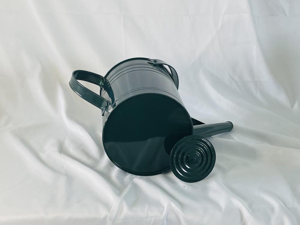 Customized long spout metal watering can