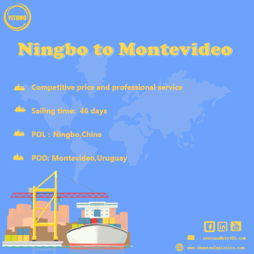 Flete marino de Ningbo a Montevideo