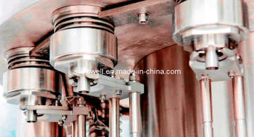 Rcggf-20 4-in-1 Pulp Filling Machine