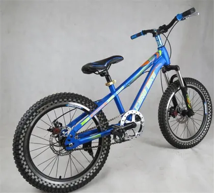 20 size mountain bike for boys