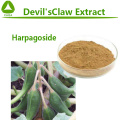 Devil's Claw Extract Harpagoside 1% 5% Powder