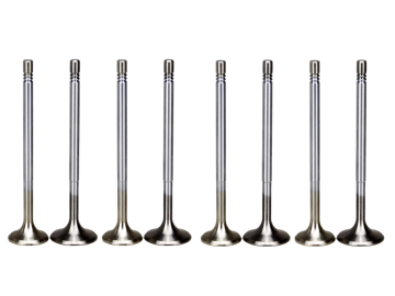 Direct Fit Intake Valve - Replaces OEM