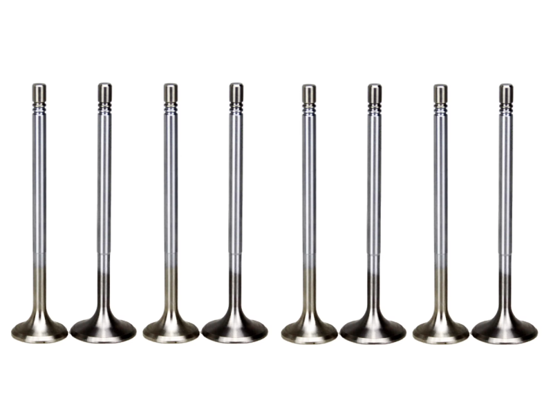 Direct Fit Intake Valve - Replaces OEM