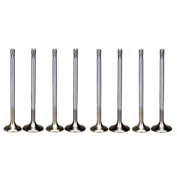 036109601AL Intake Valve for Engine