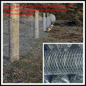 China Anping hot sale agriculture poultry hexagonal wire net for chicken
