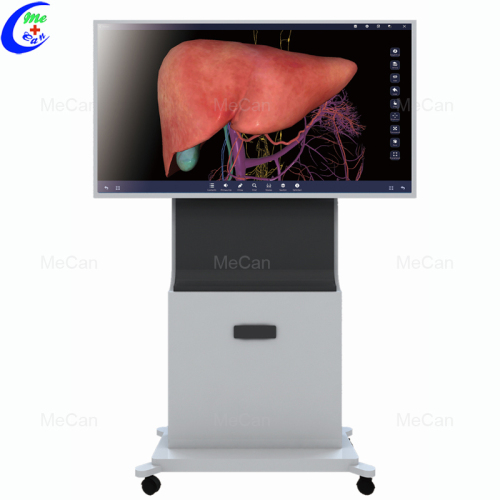 System anatomiczny 3D z ekranem dotykowym