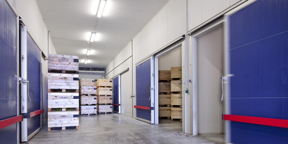 Automatic High speed cold storage door