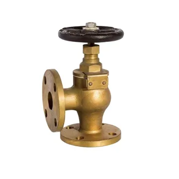 Steam water stop valve