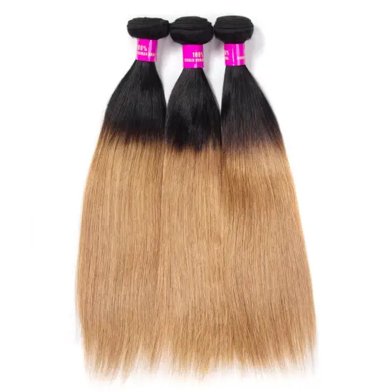 High Quality Double Drawn Brazilian Human Hair Bundles 1B 27 ombre colored Hair Extensions straight Bundles
