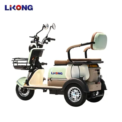 Lithium Battery Brushless Motor Electric Vehicles