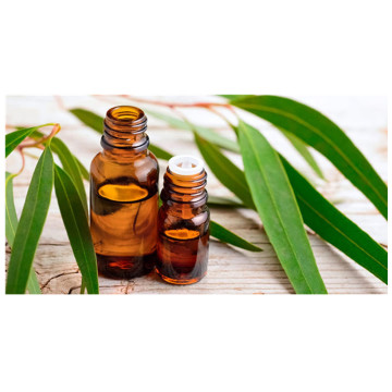 Essential Oils Eucalyptus Fragrance Oil for Candles,Massage
