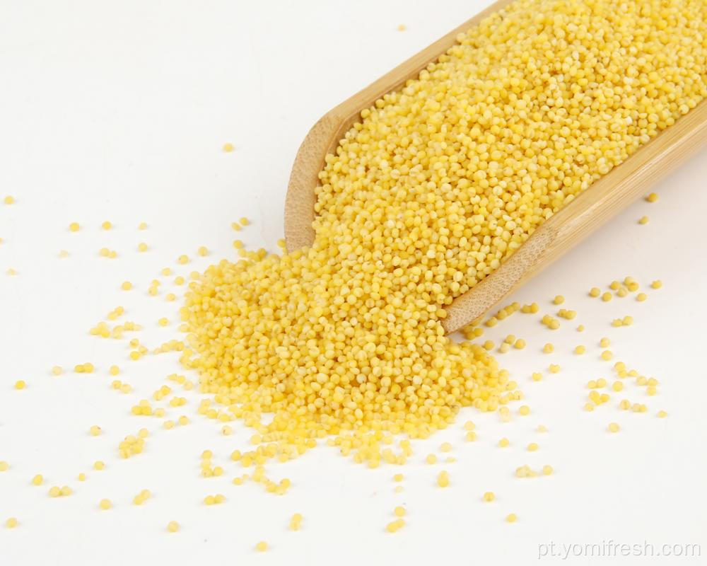 Millet 25kg