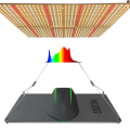 Led Lights For Flowering Stage