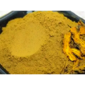 Goldthread Coptis Chinensis Huanglian Rhizoma Coptidis Root Wholesale Chinese Supplier Chinese Traditional Herb