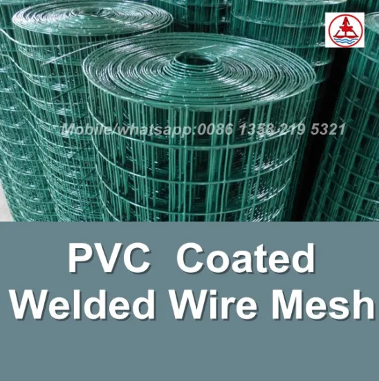 china factory 2x2 pvc coated welded wire mesh