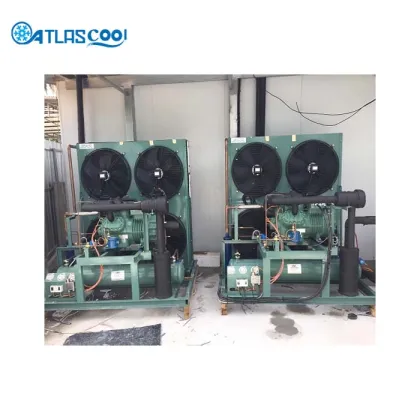 Cold Storage Room with Bitzer Compressor Unit