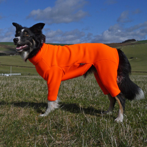 Abrigo de bata para perro chaqueta reflectante para perro