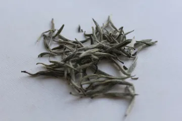 China White Tea Silver Needle