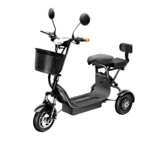 Household electric tricycle with double seats