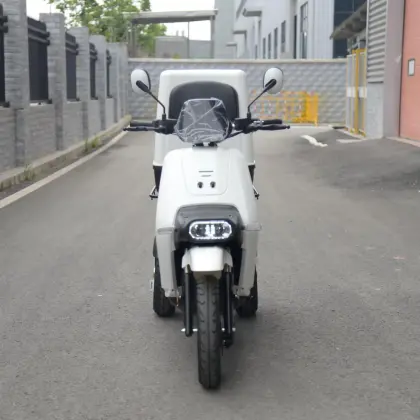 S3 Fat Tire Electric Tricycle