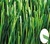 Diamond type synthetic grass for soccer