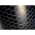 Hexagonal Wire Netting-Galvanized Before Weave Hexagonal Wire Netting - Weave before Hot-dipped Galvanized Manufactory