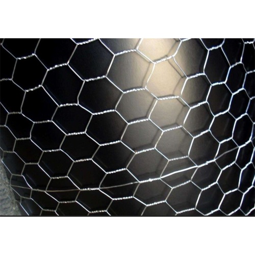 Hot-dipped Galvanized Wire Netting Hexagonal Wire Netting - Weave before Hot-dipped Galvanized Supplier