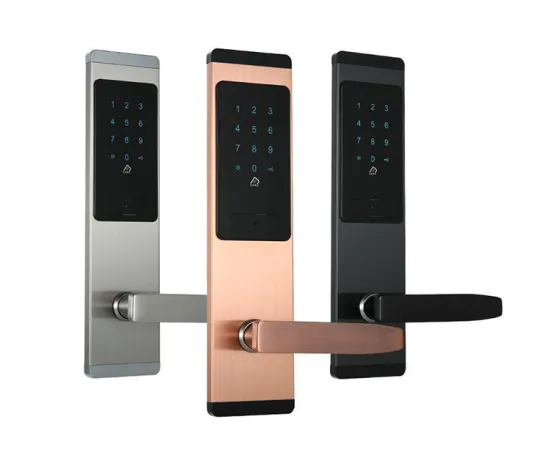 High-Security Password-Driven Door Lock System for Hotel and Apartment Remote Control Access