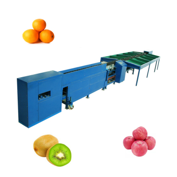 Fruit Weight Sorter: Automatic Grading and Sorting Machine