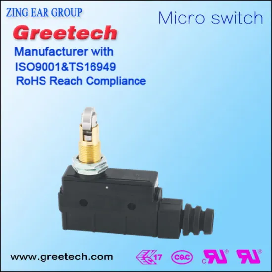 China supplier of 16A 250V snap action micro switch plunger suppliers for gate opener