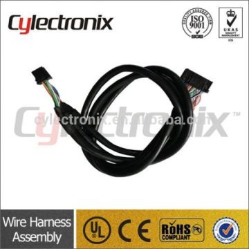 Electric double light wiring harness
