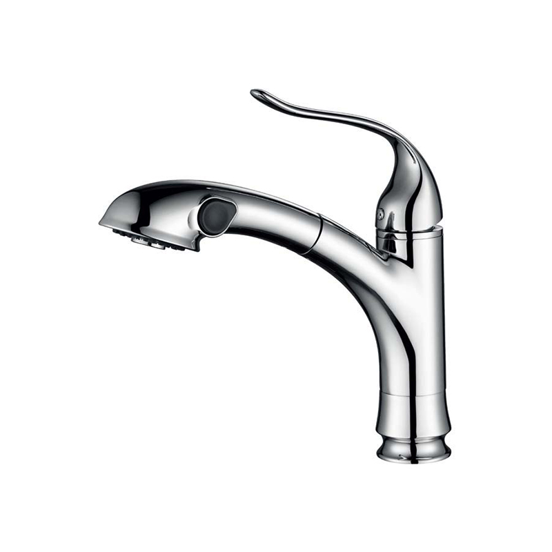 Single Handle Pull Out Sprayer Kitchen Sink Faucets