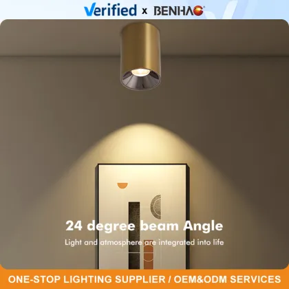 Modern LED COB Spotlight: WiFi Tuya Tmall Genie Compatible Ceiling Light
