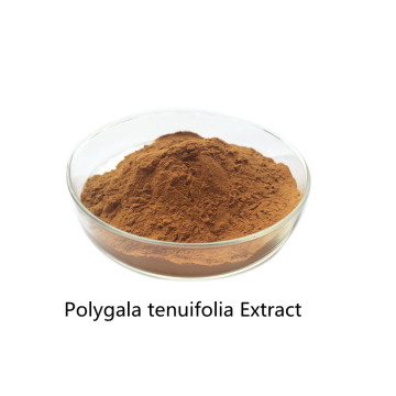 Buy online ingredients Polygala tenuifolia Extract Powder