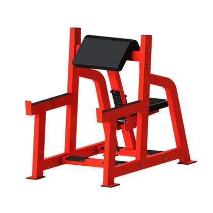 Weight Lifting Equipment & Exercise Gear