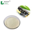 /msite/products/detail/productid/68321954/id/684075.html