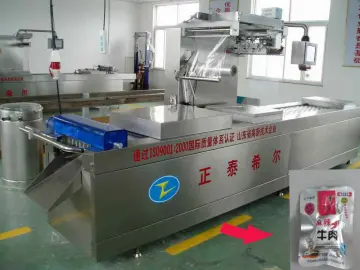 Fish Automatic Stretch Film Vacuum Packing Machine